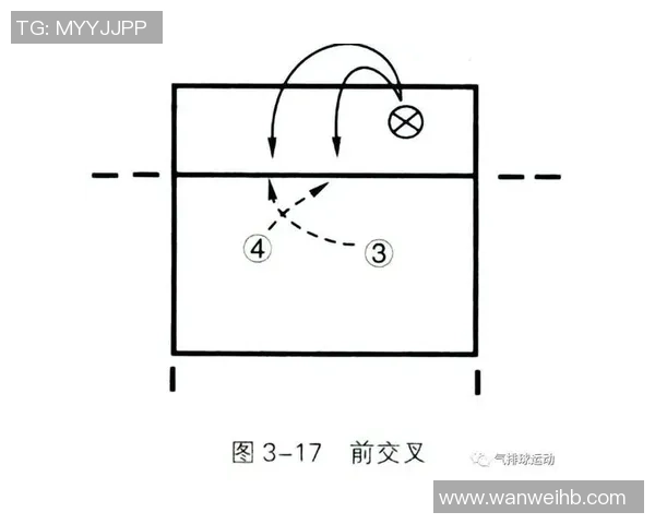 排球热点：解读武汉排球队的快攻_1